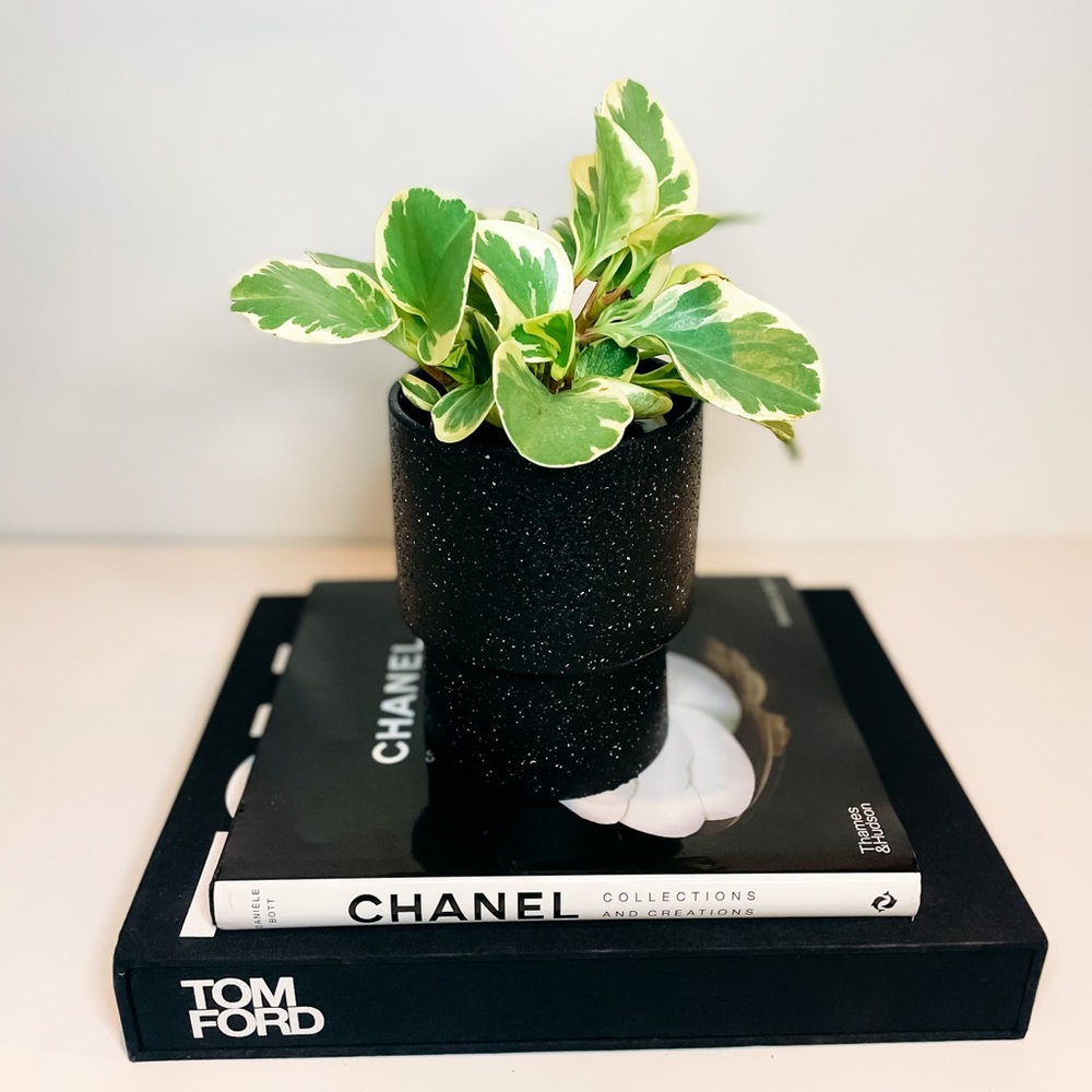 Ceramic Stone Planter Pot